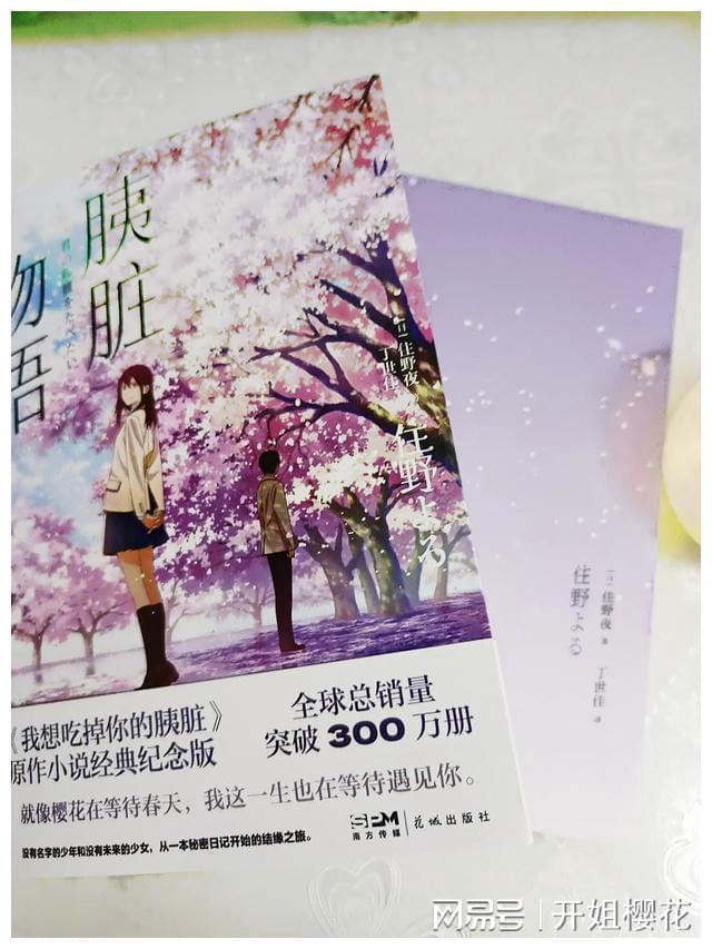 团车网盘中异动 早盘股价大涨25.85%报2.97美元